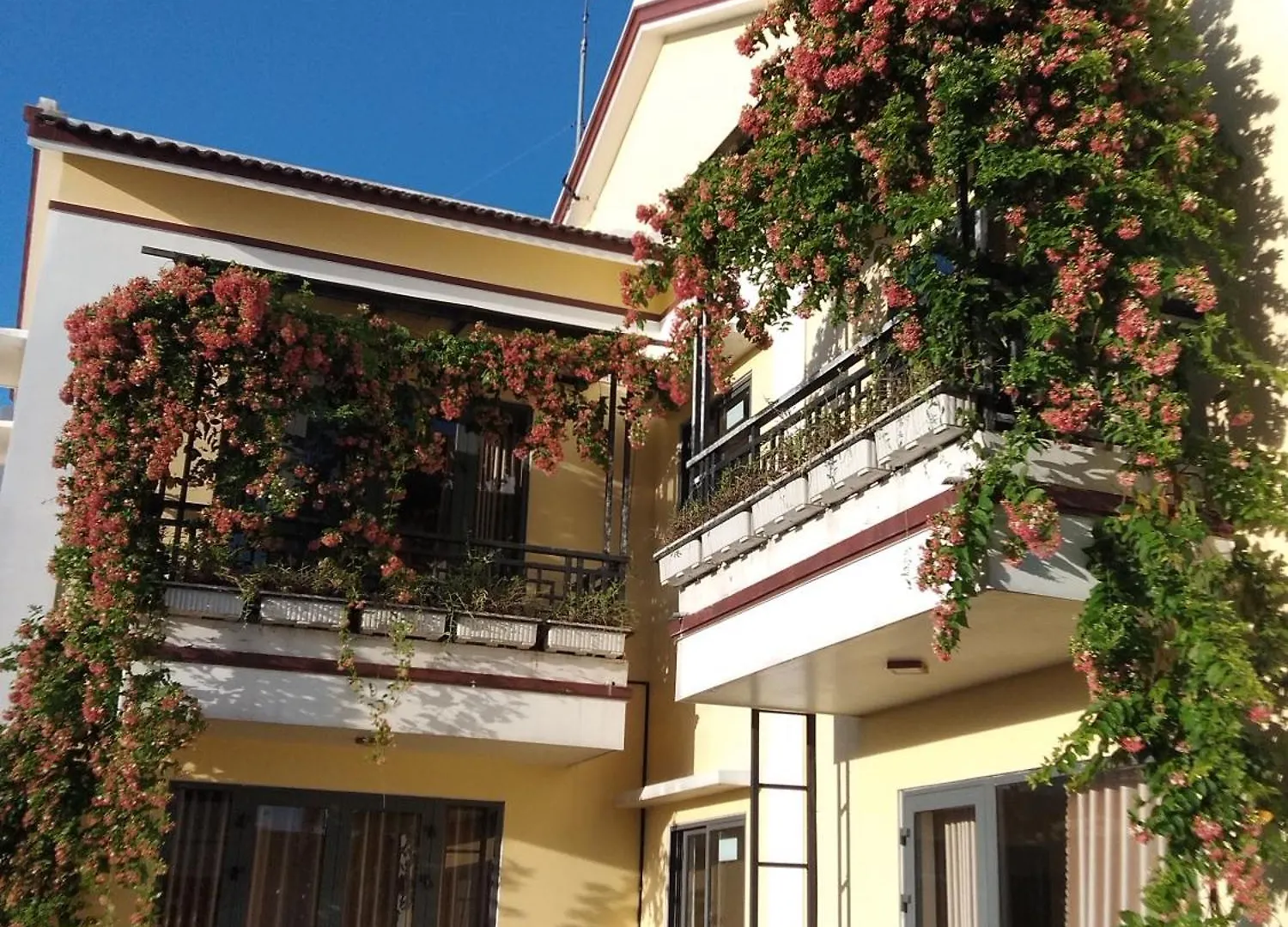 Hoi An New Life Homestay & Villa